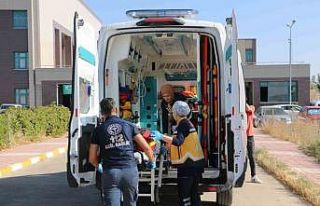 Ambulans helikopter 2,5 yaşındaki Eda için havalandı