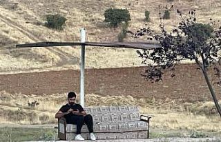 Anayolun kenarındaki kanepeli durağı görenler...