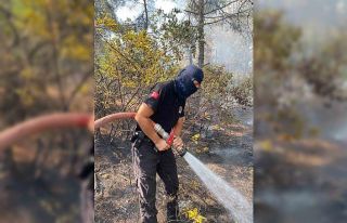 Anız yakarak toprağı öldürmeyin