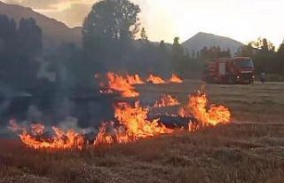 Anız yangını itfaiyenin müdahalesiyle söndürüldü
