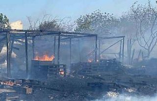 Anız yangını köpek barınağını küle çevirdi:...