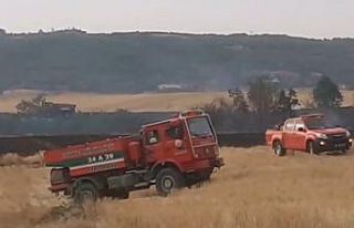 Anız yangını ormanlık alana sıçradı