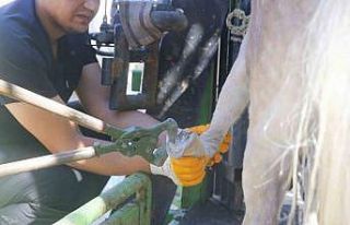 Antalya Doğal Yaşam Parkı’nda hayvanlar için...