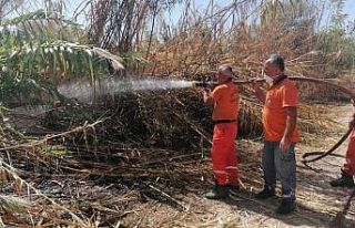 Antalya’da sazlık yangınına havadan ve karadan...