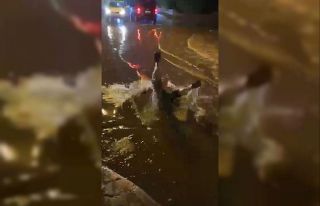 Antalyalılar sağanak sonrası su birikintisinin...