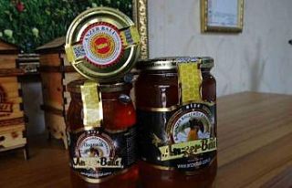 Anzer Balları, tahlil için yola çıktı