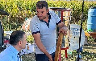 Arı ve bal üretimi noktasında Emirdağ merkez haline...