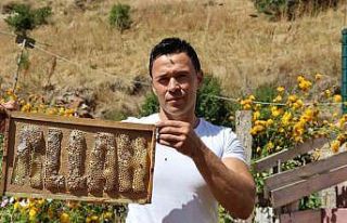 Arılara yazmayı öğreten adam