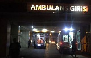 Armut toplarken ağaçtan düşen şahıs yaralandı