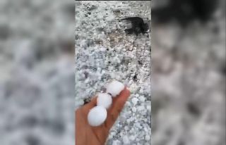 Arpaçay’ı dolu vurdu, çok sayıda kuş telef...