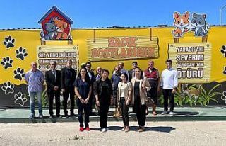 Artan yemekler sokak hayvanlarına bırakılıyor