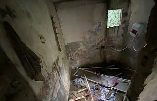 Artvin’de ayının saldırısına uğrayan şahıs...