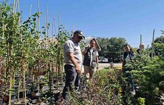 Ayatay; “Fidan üretimi ve dikimi önemli”