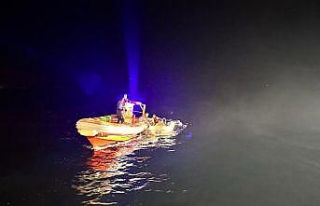 Aydın’da 4 düzensiz göçmen yakalandı