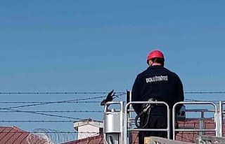 Bahçe tellerine takılan kargayı itfaiye kurtardı