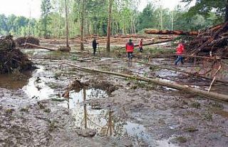 Bakan Koca duyurdu: Kırklareli’ndeki selde doktor...