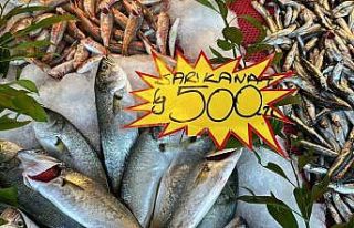 Balık çeşidi az olunca fiyatlar yükseldi