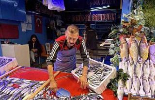 Balık sezonu açıldı tezgahlar renklenmeye başladı