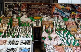 Balık sezonu hamsi bolluğuyla başladı