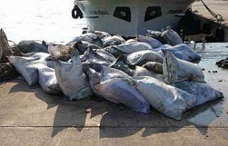 Balıkçılar şaştı kaldı: Denizden balık yerine...