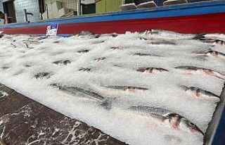 Balıkçılar yeni sezondan umutlu