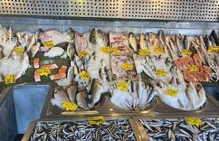 Balıkçılardan ucuz mazot desteği ve hal giderlerinin...