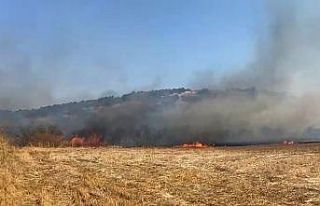 Balıkesir’de arazi yangını