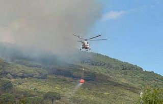 Başıbüyük Ormanı’nda çıkan yangına itfaiye...