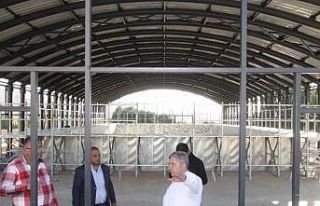 Başkan Altun Yarı Olimpik yüzme Havuzunda İncelemelerde...