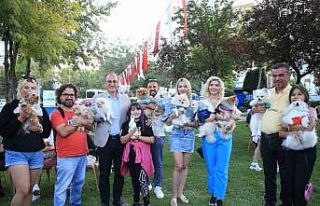 Başkan Örki’den patifest’e davet