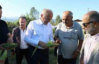 Başkan Özlü “Gelecek yıl 30 dönüm alanda çeltik...