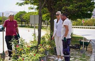 Başkan Subaşı, peyzaj çalışmalarını yerinde...