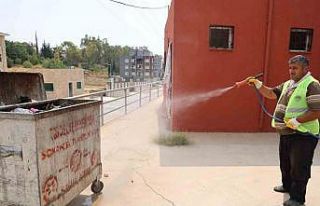 Başkan Yılmaz: "Narenciyeye büyük zarar veren...