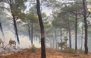 Bayramiç’te yıldırım düşmesi sonucu örtü...