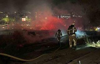 Beyoğlu Evlendirme Dairesi’nin bahçesinde korkutan...