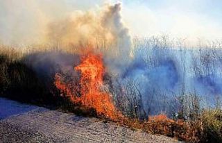 Beyşehir ve Hüyük’te çıkan anız yangınları...