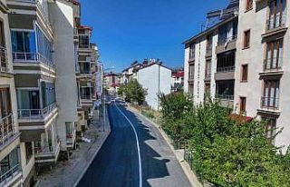 Bingöl Belediyesinin asfaltlama çalışması devam...