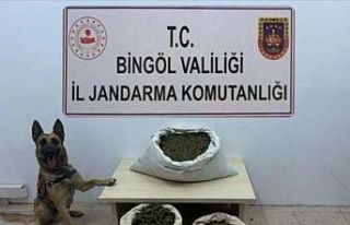 Bingöl’de 6 arazide uyuşturucu madde ele geçirildi