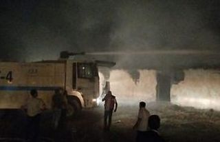 Bingöl’de ahır yangını: 2 büyükbaş telef...