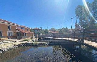 Binlerce asker balığının salındığı göl turizme...