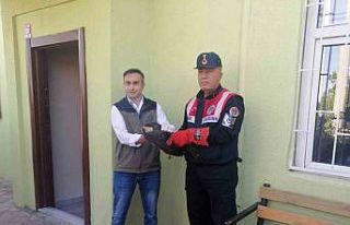 Bitkin bulunan saz delicesi bakıma alındı