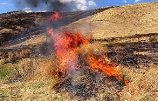 Bitlis’te 12 hektarlık alanda örtü yangını...