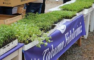 Bodrum Belediyesi üreticilere fide desteği verilecek