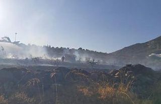 Bodrum’da makilik alanda yangın