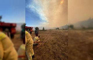 Bolu-Ankara sınırında orman yangını