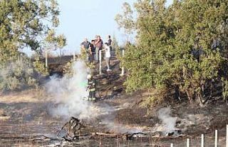 Bolu’da ot yangını ormana sıçramadan söndürüldü