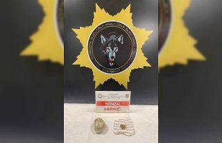 Bonzai satan 2 kişi tutuklandı