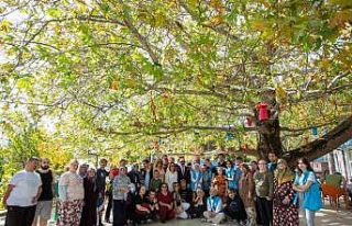 Bu kamp ‘çok özel’