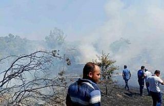 Buldan’daki yangında faciadan dönüldü
