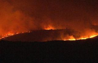 Bulgaristan-Türkiye sınırında orman yangını:...